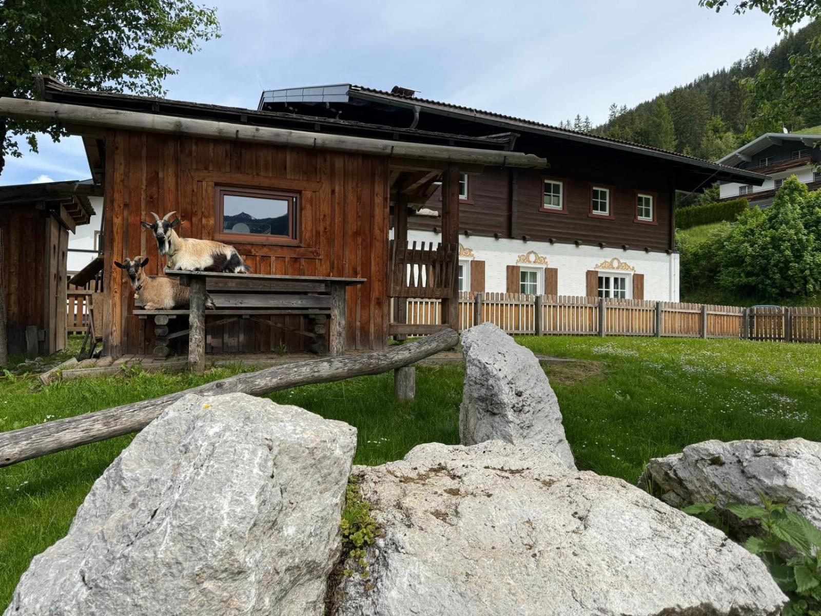 Appartements Zahnleiten Untertauern Exterior foto